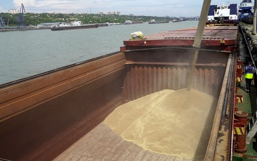 Mỹ sẵn sàng cho khả năng Nga không gia hạn thoả thuận ngũ cốc Biển Đen