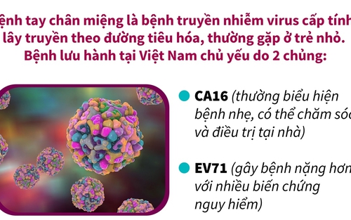 7 tháng năm 2023: Gần 15.000 ca mắc tay chân miệng, Bộ Y tế cảnh báo dịch gia tăng