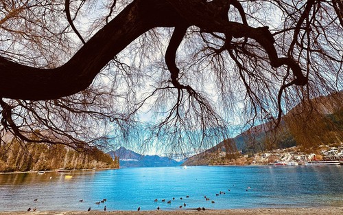 Có một cuộc sống ngọt ngào ở Queenstown