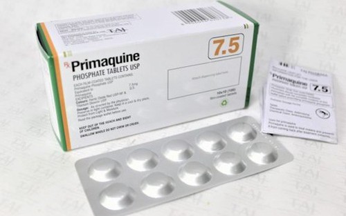 Hiệu quả của sử dụng thuốc chống sốt rét primaquine liều cao