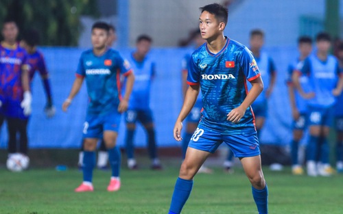 Ngôi sao Việt kiều trở lại CH Séc vì bị HLV Troussier gạch tên
