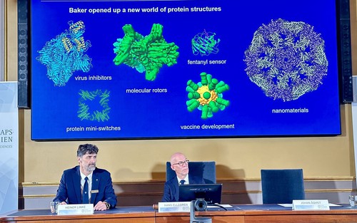 Nobel 2024: Các protein nhân tạo - Chìa khóa cho tương lai