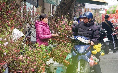 Hình ảnh: Nhộn nhịp chợ hoa Hàng Lược những ngày cận Tết