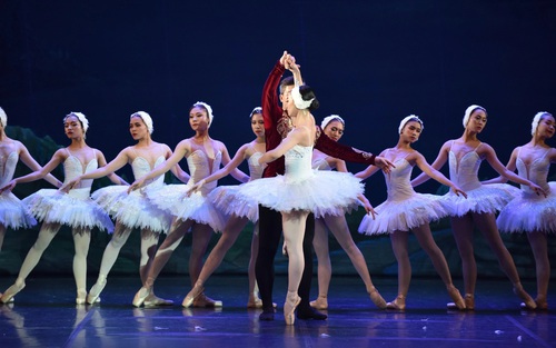 Ballet 'Hồ Thiên nga' trở lại với dàn nghệ sỹ trẻ tài năng