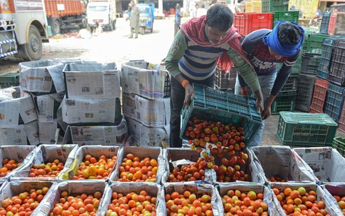 Liên hợp quốc nâng dự báo triển vọng kinh tế toàn cầu năm 2024