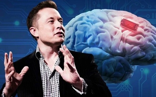 Mỹ: FDA 'bật đèn xanh' cho Neuralink tiếp tục thử nghiệm cấy ghép chip vào não người