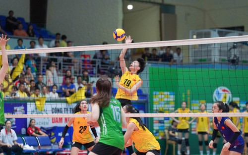 Link xem trực tiếp bóng chuyền Việt Nam vs Hong Kong TQ (15h hôm nay), AVC Challenge Cup 2024 