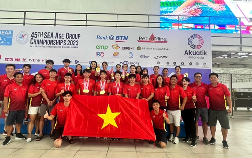 Mỹ Tiên nhận vé đặc cách, Thể thao Việt Nam dự Olympic Paris với 16 tuyển thủ