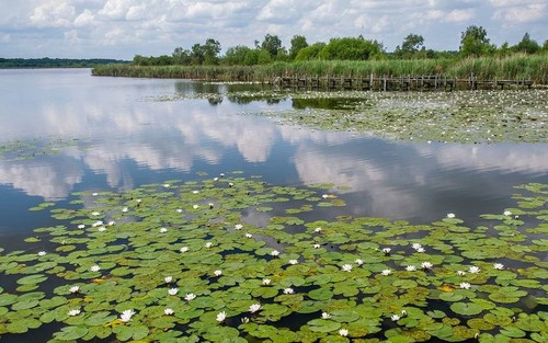 UNESCO công nhận Khu dự trữ sinh quyển đầu tiên tại Bỉ