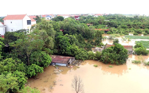 Nhìn lại những cơn bão mạnh đổ bộ vào Việt Nam những năm gần đây