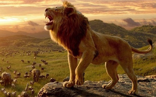 “Mufasa: The Lion King” trở lại ngôi đầu phòng vé Bắc Mỹ