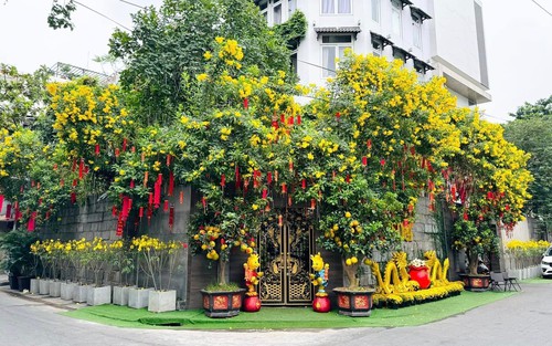 Sao Việt tất bật trang hoàng nhà cửa đón Tết nguyên đán