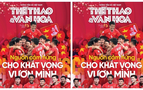 Thư Ban biên tập: "Rắn đầu biếng học"