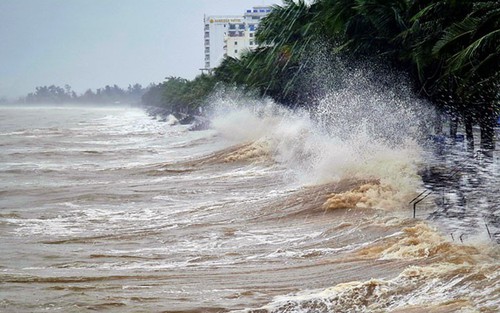 Ảnh hưởng của bão FENGSHEN, phía Đông khu vực Bắc Biển Đông có gió mạnh, sóng cao