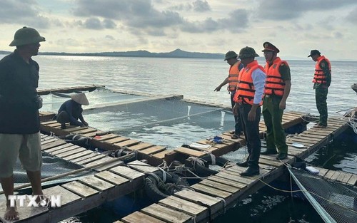 Từ Quảng Ninh đến Lâm Đồng chủ động ứng phó với bão số 12