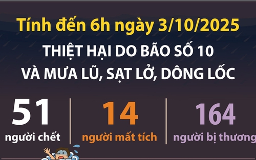 Thiệt hại do bão số 10 và mưa lũ, sạt lở, dông lốc