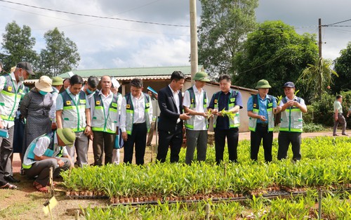 Tinh gọn bộ máy: Giải quyết tình trạng nơi thừa, nơi thiếu nhân lực