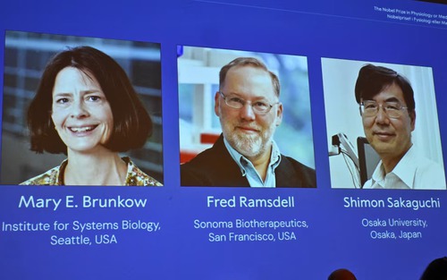 Ba nhà khoa học Mỹ-Nhật đoạt giải Nobel Y sinh 2025