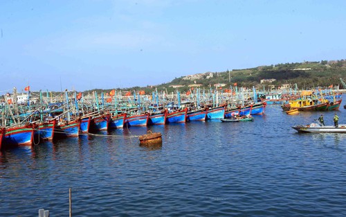 Hải Phòng kích hoạt phương án ứng phó mưa lũ, sạt lở do bão