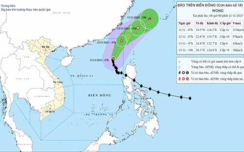 Bão số 14 tiếp tục giảm cấp, gây gió mạnh, sóng lớn trên khu vực Bắc Biển Đông