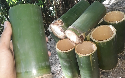 Chữ và nghĩa: "Ống tre đè miệng giạ"