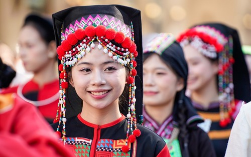 Mô hình dữ liệu kinh tế sáng tạo của WIPO: Kinh nghiệm cho phát triển công nghiệp văn hóa Việt Nam
