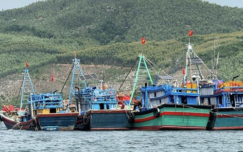 Bão số 15: Đắk Lắk ban hành lệnh cấm biển