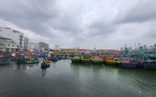 Bão số 15 trên biển Đông: Gió giật cấp 14, sóng cao đến 9m, biển động dữ dội