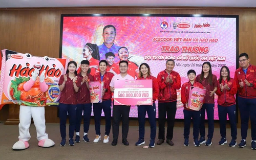 Vô địch trong lòng người hâm mộ, tuyển nữ Việt Nam nhận nhiều sự ủng hộ lớn