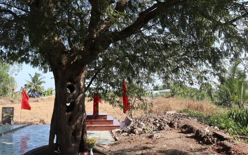Bảo tồn cây di sản - vì cộng đồng và phát triển bền vững