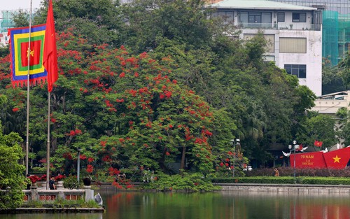 Chào tuần mới: Hồ Gươm luôn cần cây xanh