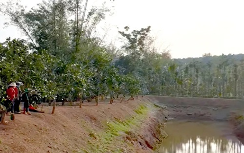 Hai học sinh đuối nước, tử vong trong ao chứa nước tưới cà phê 