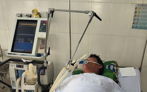 Cà Mau: 4 người nhập viện cấp cứu vì ăn cá nóc