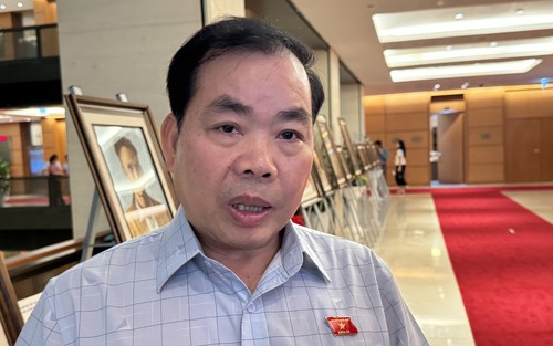 Đề xuất áp dụng biện pháp mạnh nếu người nổi tiếng cố tình quảng cáo sai sự thật