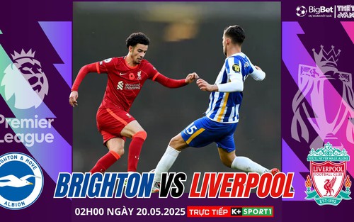 Nhận định, soi tỷ lệ Brighton vs Liverpool 02h00 ngày 20/5, Ngoại hạng Anh