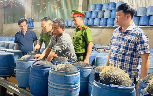Khởi tố 3 bị can sản xuất giá đỗ bằng hóa chất độc hại