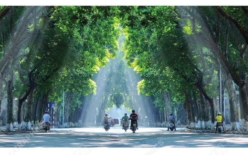 Hà Nội triển khai nhiều phương án đảm bảo vệ sinh môi trường