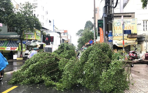Mưa lớn kèm dông lốc, gió giật khiến nhiều cây xanh gãy đổ ở TP. Hồ Chí Minh