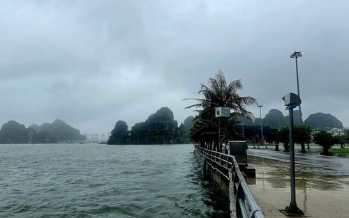 Chỉ đạo của Ban Bí thư về việc ứng phó với cơn bão số 3 Wipha