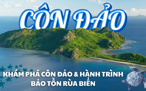 Khám phá Côn Đảo và hành trình bảo tồn rùa biển