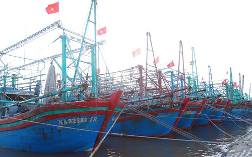 Chỉ đạo của Ban Bí thư về ứng phó với cơn bão số 5 (Kajiki)