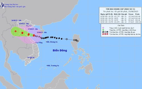  Tin bão khẩn cấp: Cơn bão số 5 