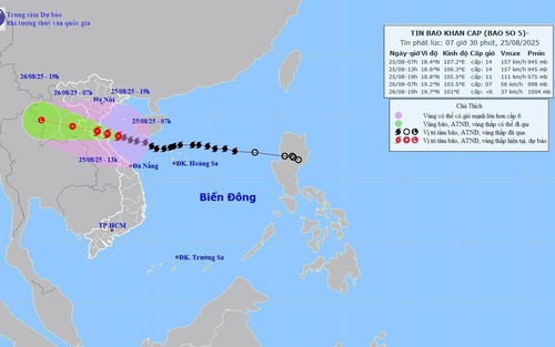 Chi tiết thông tin ứng phó với bão số 5 sắp đổ bộ hôm nay