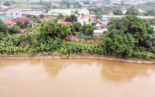 Ảnh hưởng bão số 5: Phú Thọ phát lệnh báo động III trên sông Thao