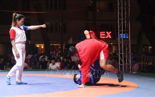Sambo tìm chỗ đứng trong làng võ Việt Nam