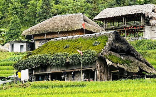 Giữ hồn mái nhà rêu dưới chân Tây Côn Lĩnh (Tuyên Quang)