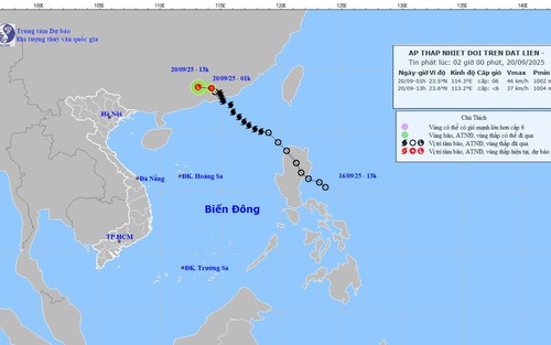 Tin cuối cùng về cơn bão số 8