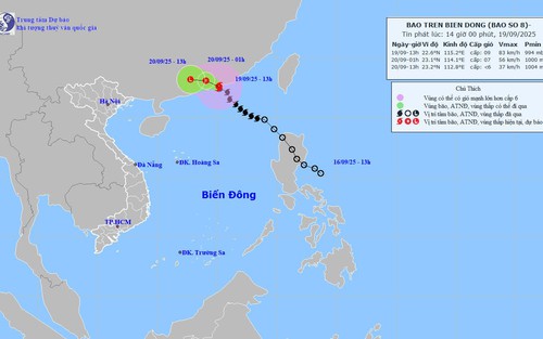 Bão số 8 giảm cấp hướng về phía Nam tỉnh Quảng Đông của Trung Quốc