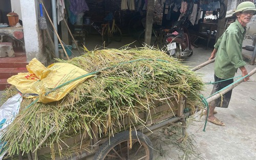 Vùng "rốn lũ", trũng thấp Hà Nội chủ động mọi tình huống bão số 9