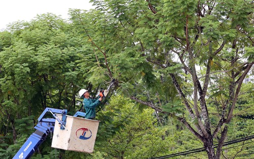 Đà Nẵng khẩn trương ứng phó trước diễn biến phức tạp của bão số 10